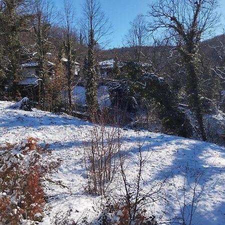 Расимова Къща Bozhenți Exterior foto